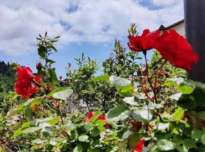 Tra Sole & Mare Apartment *