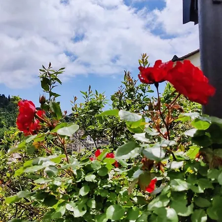 Tra Sole & Mare Apartmán *